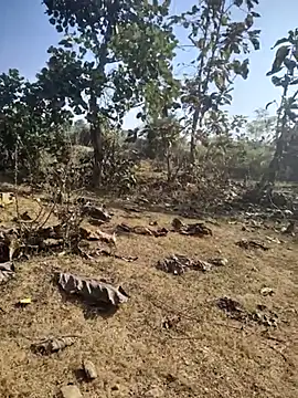 Snapshot of 88zaifkhan88 chatting on January 7, 2026, 4:48 am 88zaifkhan88 online show from January 7, 2026, 4:48 am