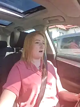 Snapshot of dixielarys chatting on April 6, 2026, 9:54 am dixielarys online show from April 6, 2026, 9:54 am