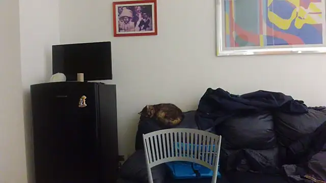 AMIRDIB2025 online show from April 18, 2026, 12:25 am