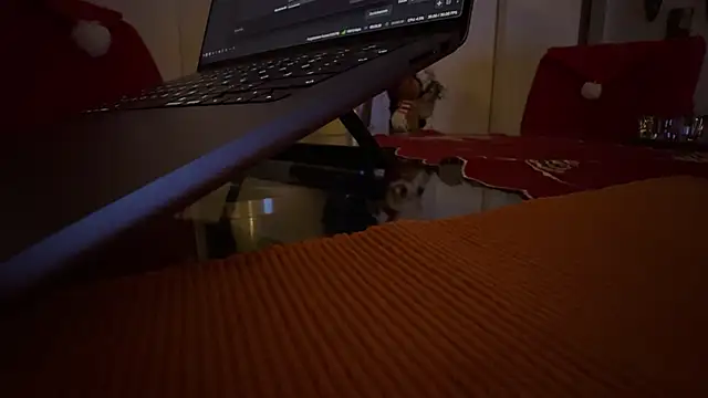 Snapshot of AndyLD20x6 chatting on December 3, 2025, 11:14 pm AndyLD20x6 online show from December 3, 2025, 11:14 pm