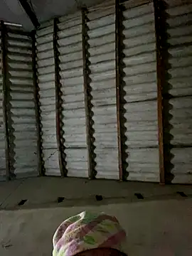 Snapshot of Lilik2 chatting on December 5, 2025, 9:29 am Lilik2 online show from December 5, 2025, 9:29 am