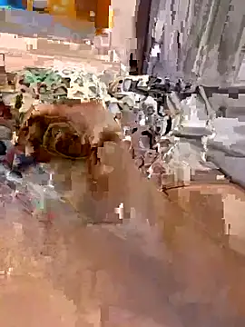 Snapshot of en93000 chatting on April 7, 2026, 5:41 am en93000 online show from April 7, 2026, 5:41 am