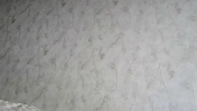 Snapshot of AliceWonderLure chatting on December 3, 2025, 9:18 am AliceWonderLure online show from December 3, 2025, 9:18 am