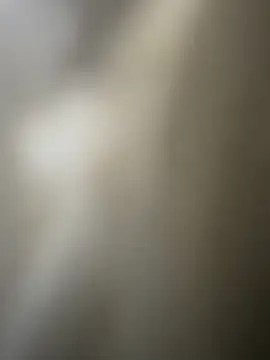 williamsmiiths16 online show from December 17, 2025, 4:24 pm