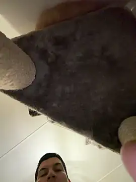 CharlyAlfa22 online show from February 9, 2026, 12:03 am