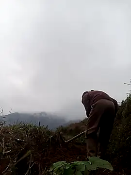 Snapshot of mon-monk chatting on December 17, 2025, 1:11 am mon-monk online show from December 17, 2025, 1:11 am