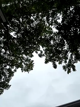 Snapshot of cmvoo chatting on December 21, 2025, 6:53 am cmvoo online show from December 21, 2025, 6:53 am