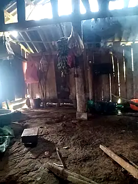 little-effy online show from March 23, 2026, 4:27 am