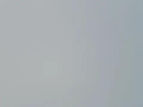 Fish 136 online show from April 1, 2026, 1:28 am