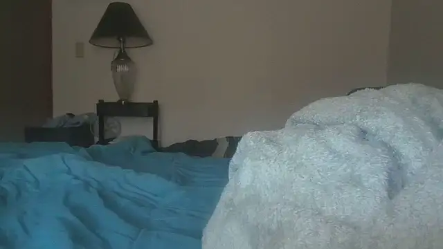 Snapshot of dixielover1229 chatting on January 7, 2026, 5:04 pm dixielover1229 online show from January 7, 2026, 5:04 pm