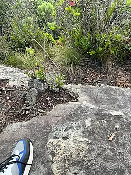 toritoga online show from March 25, 2026, 6:36 pm