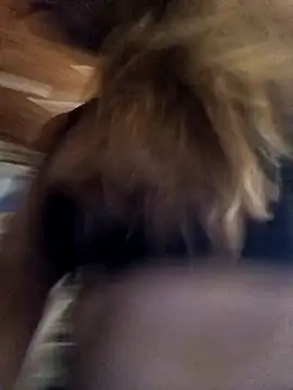 cari75 online show from February 3, 2026, 2:53 am