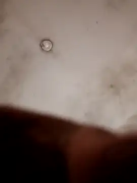 Casadocurioso50 online show from April 7, 2026, 4:18 pm