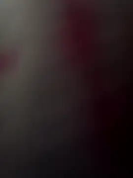 Casadocurioso50 online show from April 14, 2026, 10:10 am