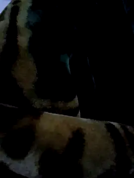 Snapshot of aman4404 chatting on January 6, 2026, 10:30 am aman4404 online show from January 6, 2026, 10:30 am