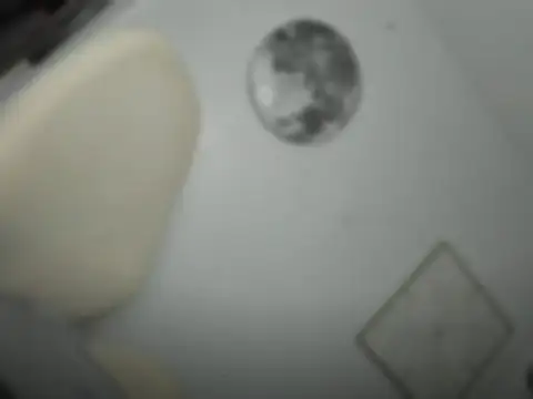 mxshemale ladyboy online show from March 26, 2026, 5:29 pm