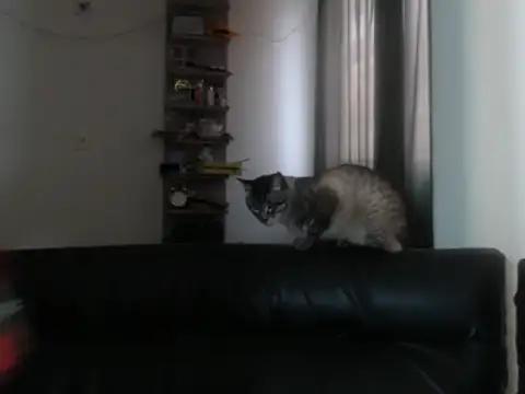 BeautyYoungblond online show from February 3, 2026, 10:26 pm