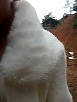 Girl cutee online show from February 1, 2026, 9:19 am