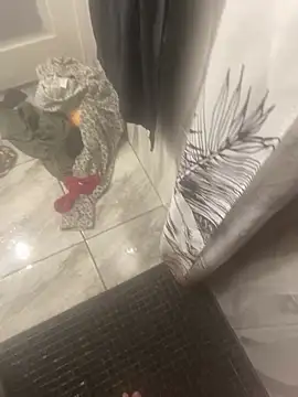 Miguel 667 online show from February 9, 2026, 11:25 am