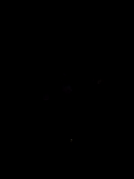 nimmi188 online show from March 10, 2026, 7:30 pm