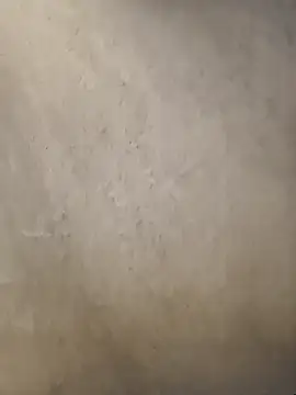 Snapshot of Telugumistress chatting on January 8, 2026, 12:07 pm Telugumistress online show from January 8, 2026, 12:07 pm