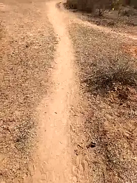 Tamilpaiyan07 online show from February 8, 2026, 5:55 am