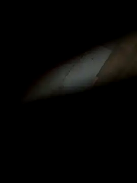 silentman777 online show from December 22, 2025, 12:13 pm