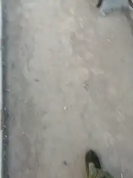 Snapshot of Tata_and_Joker chatting on March 24, 2026, 3:28 pm Tata and Joker online show from March 24, 2026, 3:28 pm