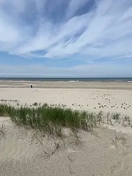 Snapshot of friemeldepiemel chatting on June 1, 2026, 12:18 pm friemeldepiemel online show from June 1, 2026, 12:18 pm
