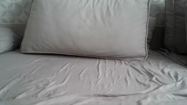 apollo81 online show from February 18, 2026, 9:49 am