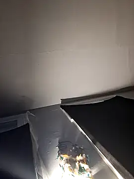 Snapshot of RealisedBooking chatting on February 26, 2026, 12:04 pm RealisedBooking online show from February 26, 2026, 12:04 pm