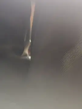 Snapshot of Cupalshow123 chatting on January 16, 2026, 11:14 am Cupalshow123 online show from January 16, 2026, 11:14 am