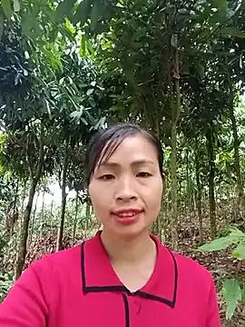xiaogoal online show from June 11, 2026, 3:15 am
