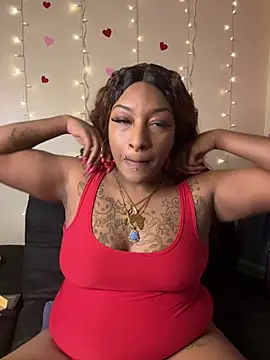 Egyptian reign online show from February 18, 2026, 3:13 am