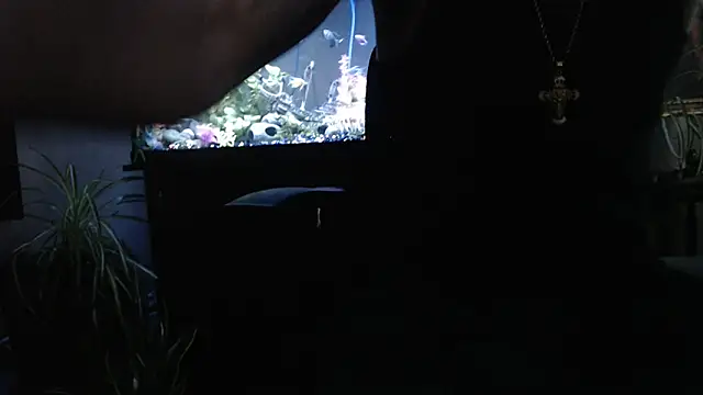 EspanolVato online show from April 2, 2026, 11:46 pm