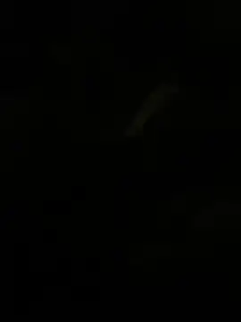 Snapshot of Herr_Snusk chatting on July 1, 2026, 12:12 am Herr Snusk online show from July 1, 2026, 12:12 am