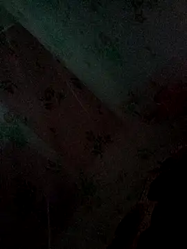 Snapshot of Monisha9876 chatting on January 14, 2026, 4:34 pm Monisha9876 online show from January 14, 2026, 4:34 pm