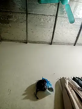 Snapshot of Sana-vn chatting on January 15, 2026, 1:48 pm Sana-vn online show from January 15, 2026, 1:48 pm