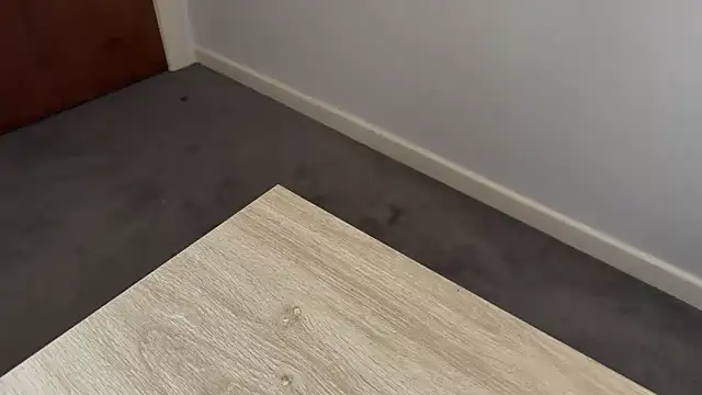 adelaide2026 online show from April 2, 2026, 3:37 am