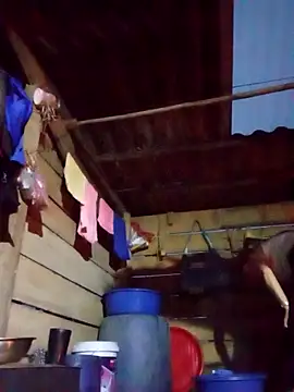 Agnes-baby online show from March 19, 2026, 11:36 am