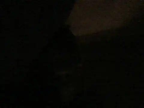 Snapshot of kwandero1234 chatting on January 9, 2026, 6:21 pm kwandero1234 online show from January 9, 2026, 6:21 pm