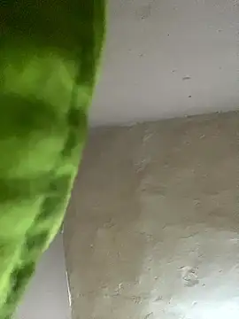 Snapshot of kwandero1234 chatting on January 12, 2026, 7:41 pm kwandero1234 online show from January 12, 2026, 7:41 pm