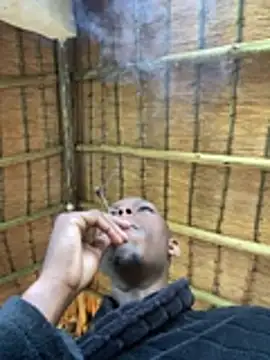 Snapshot of kwandero1234 chatting on January 14, 2026, 4:07 am kwandero1234 online show from January 14, 2026, 4:07 am