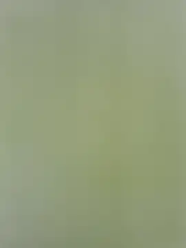 Snapshot of Amelia9798 chatting on May 1, 2026, 9:08 pm Amelia9798 online show from May 1, 2026, 9:08 pm