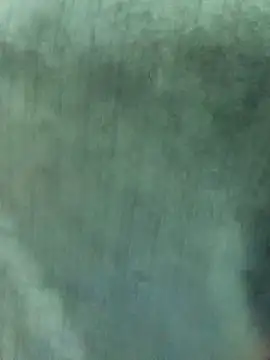 Nooran noona online show from January 7, 2026, 9:17 pm