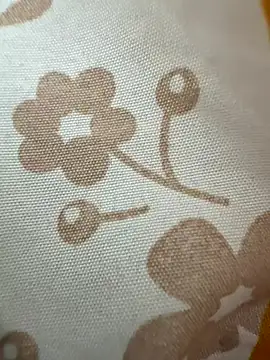 vitel123 online show from January 6, 2026, 1:15 pm