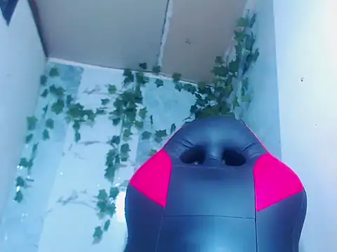 Negri hot crazy online show from February 12, 2026, 11:05 am