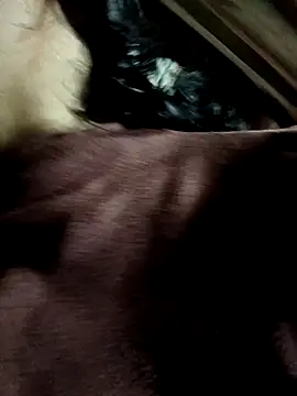 yu--yo online show from March 21, 2026, 3:44 am