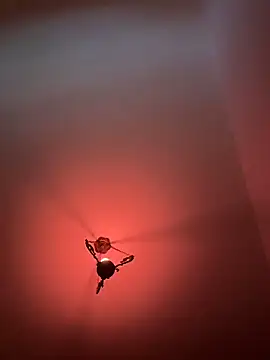 witchdub online show from February 18, 2026, 4:47 pm