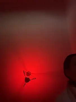 witchdub online show from February 24, 2026, 2:04 pm